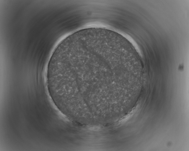 X0000116780815201001141510