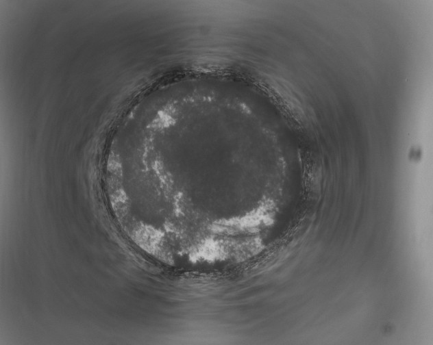 X0000116780817201001141509