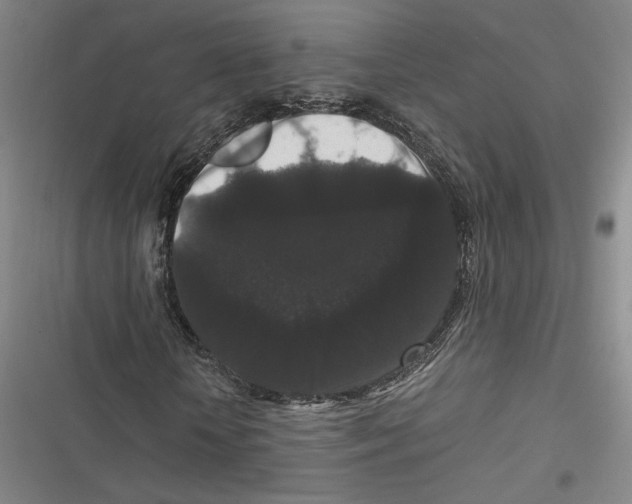 X0000116780818201001141509