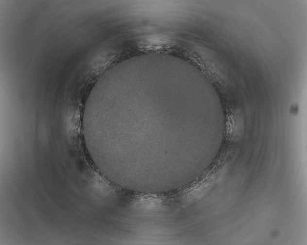 X0000116780820201001141509