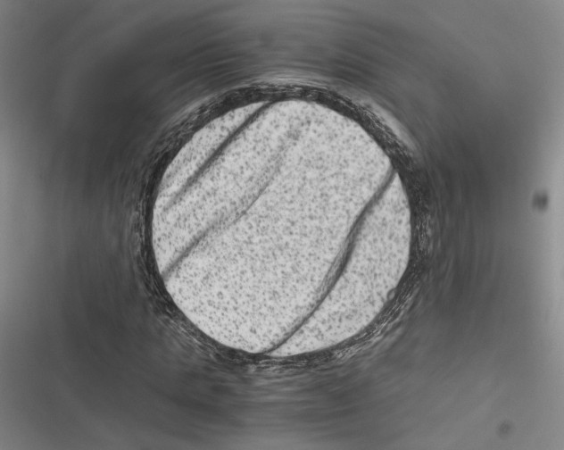 X0000116780821201001141510