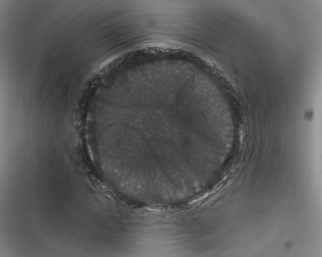 X0000116780822201001141510