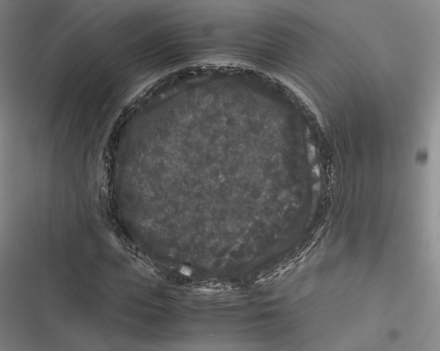 X0000116780823201001141510