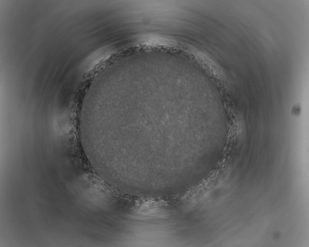 X0000116780824201001141510