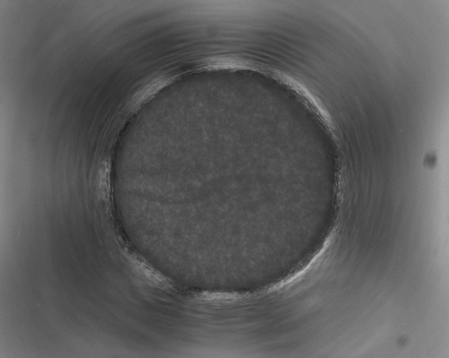 X0000116780825201001141510