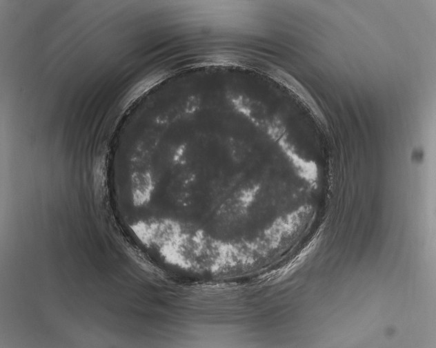 X0000116780826201001141510