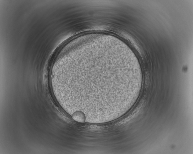 X0000116780827201001141510