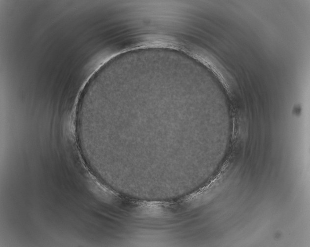 X0000116780828201001141510