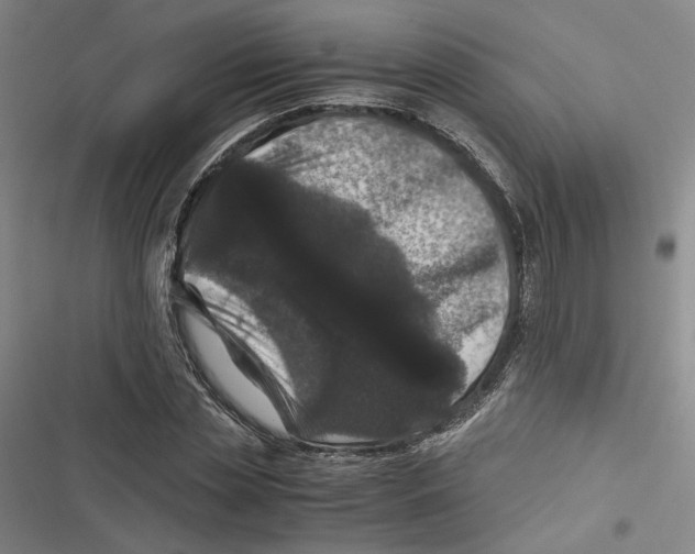 X0000116780829201001141510