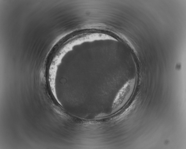 X0000116780830201001141510