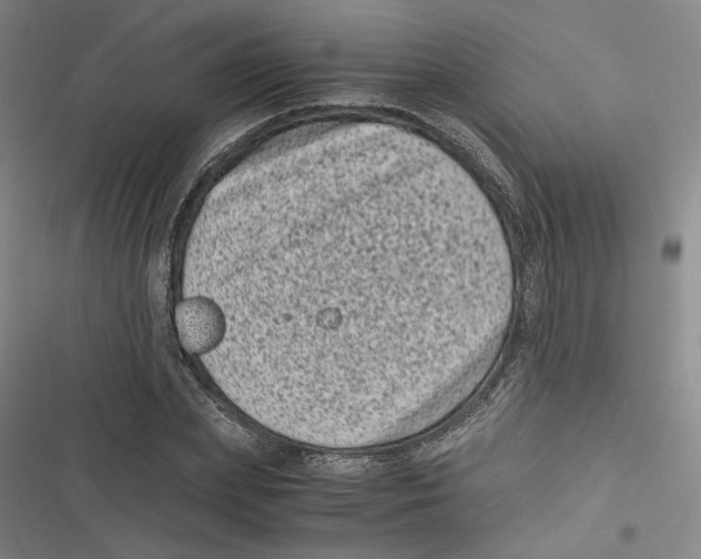 X0000116780831201001141510