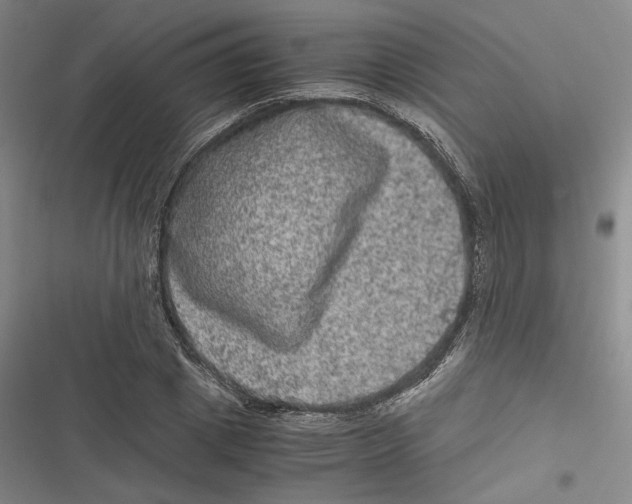 X0000116780833201001141510