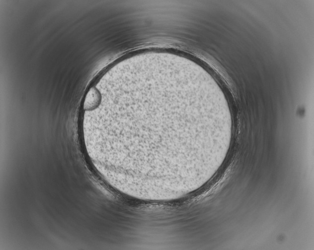 X0000116780834201001141510