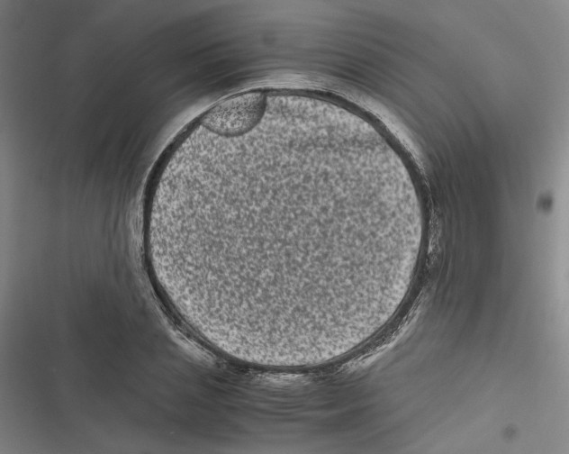 X0000116780837201001141510