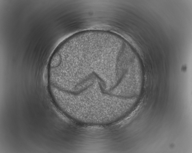 X0000116780838201001141510