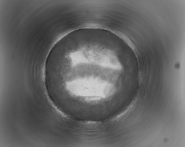 X0000116780839201001141510