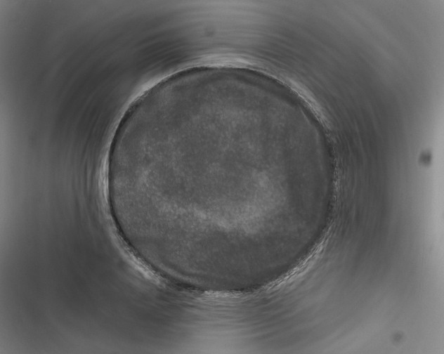 X0000116780840201001141510