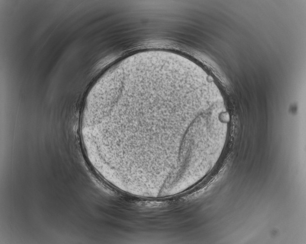 X0000116780841201001141510