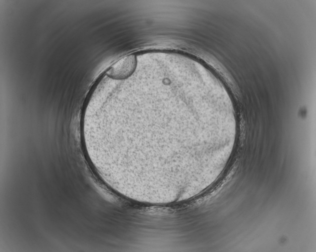 X0000116780842201001141510