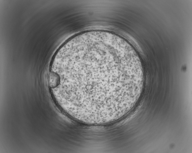 X0000116780844201001141510