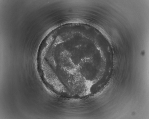 X0000116780845201001141510