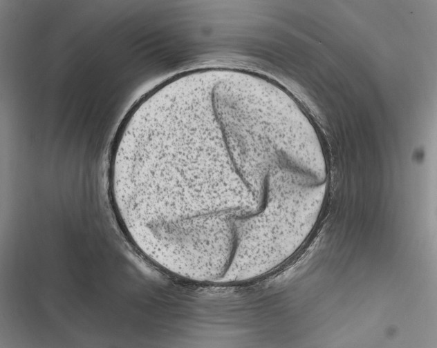 X0000116780846201001141510