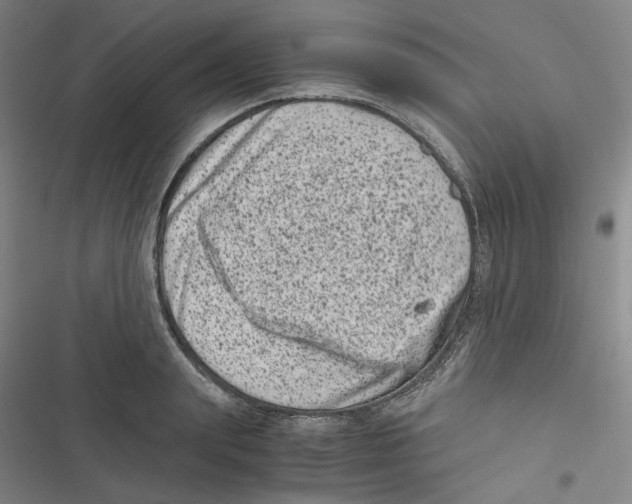 X0000116780847201001141510