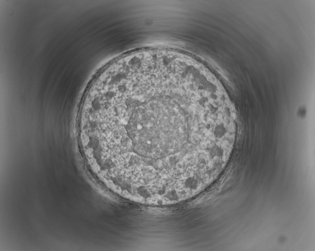 X0000116780848201001141510