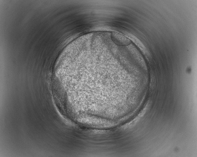 X0000116780849201001141510