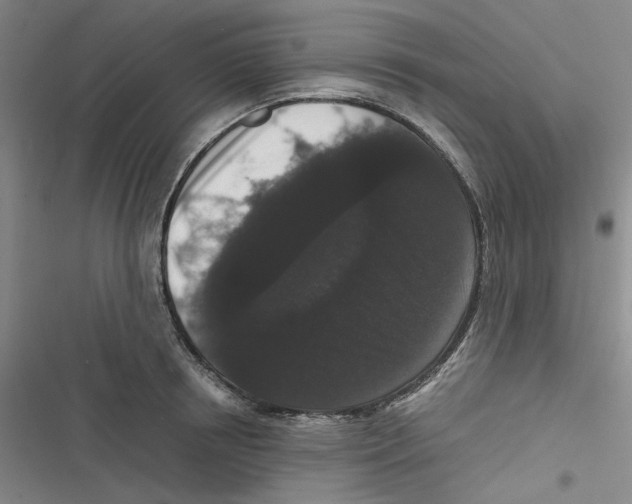 X0000116780850201001141510