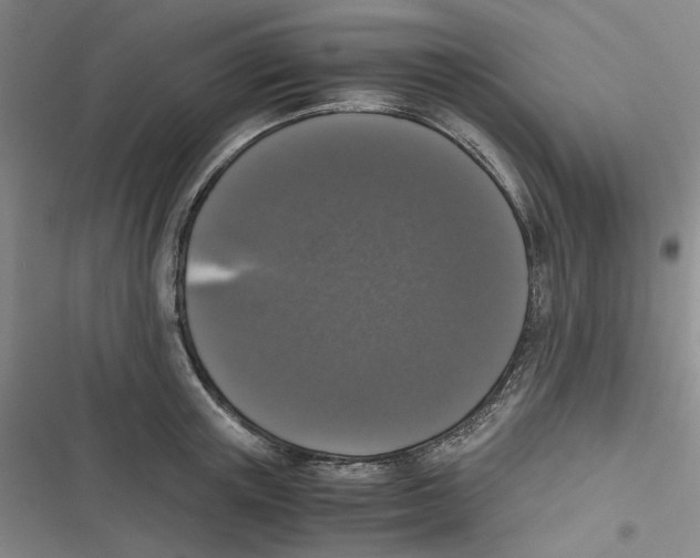 X0000116780851201001141510