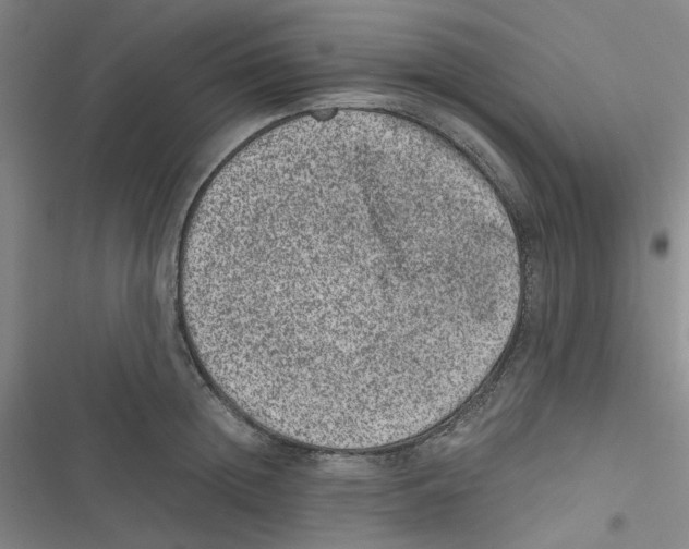 X0000116780852201001141510