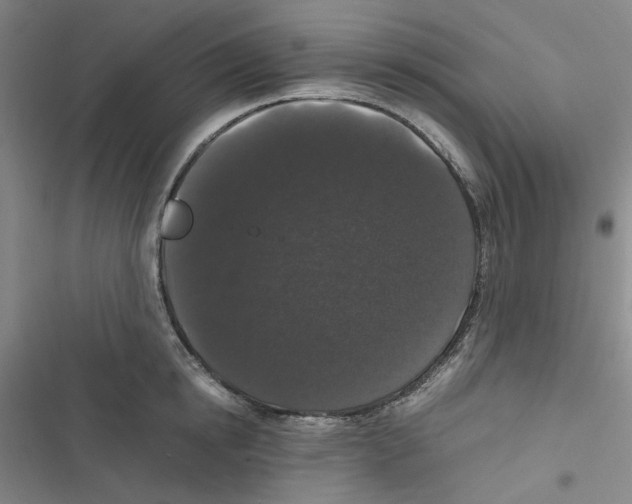 X0000116780854201001141510