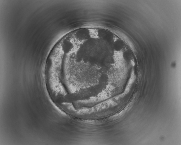 X0000116780855201001141510