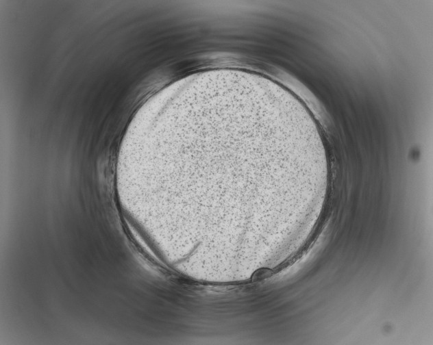 X0000116780857201001141510