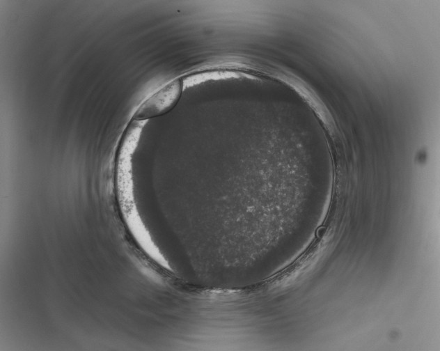 X0000116780858201001141510