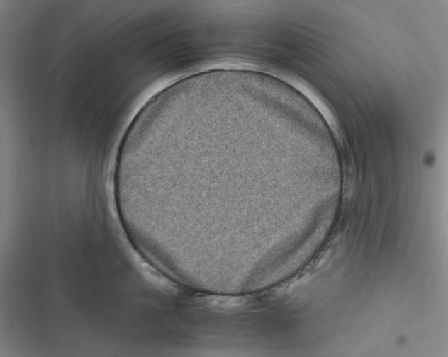 X0000116780861201001141510