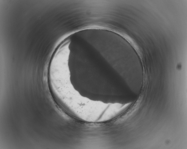 X0000116780862201001141510