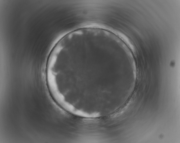 X0000116780863201001141510