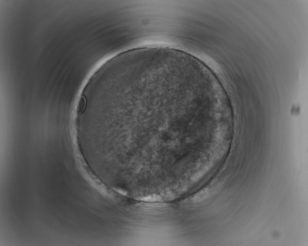 X0000116780864201001141510