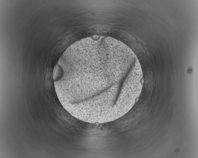 X0000116780866201001141509