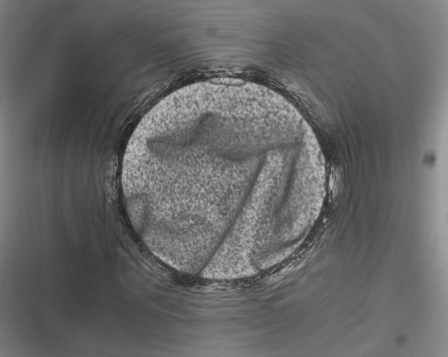 X0000116780867201001141509