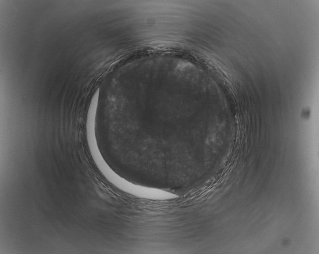 X0000116780868201001141509