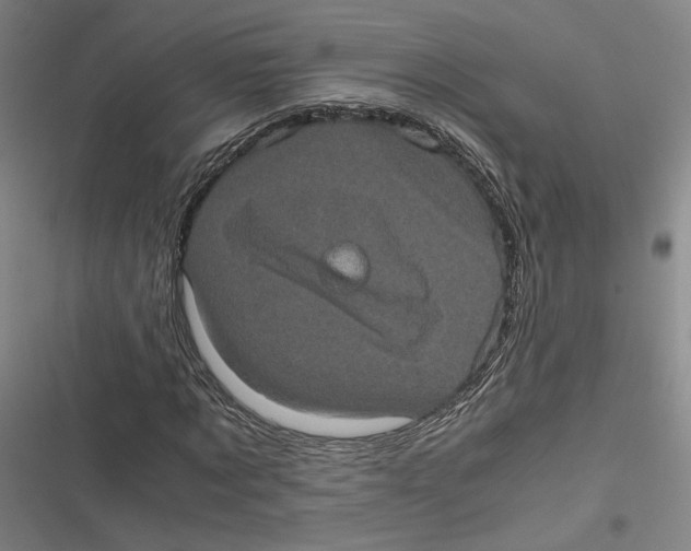 X0000116780869201001141509