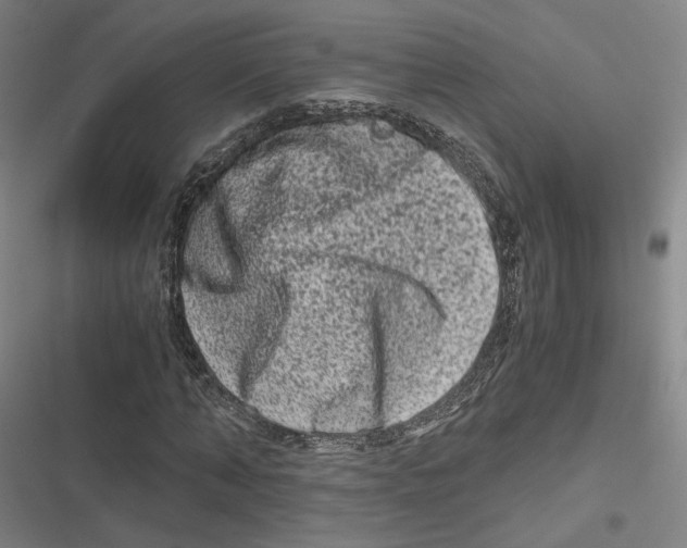 X0000116780870201001141509