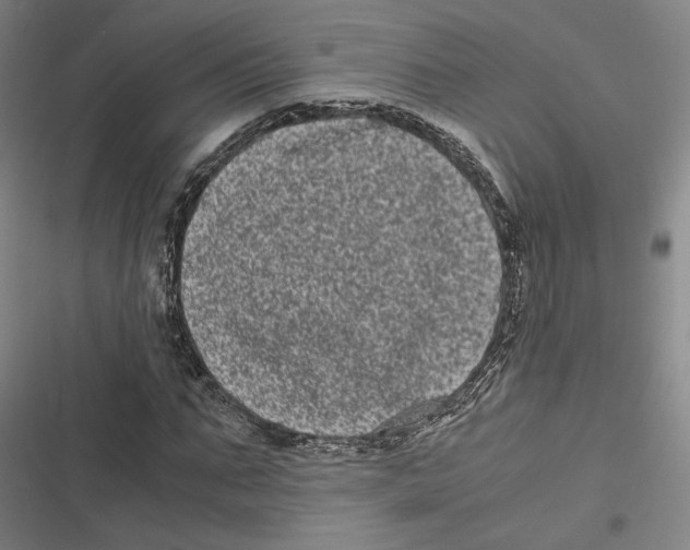 X0000116780871201001141509