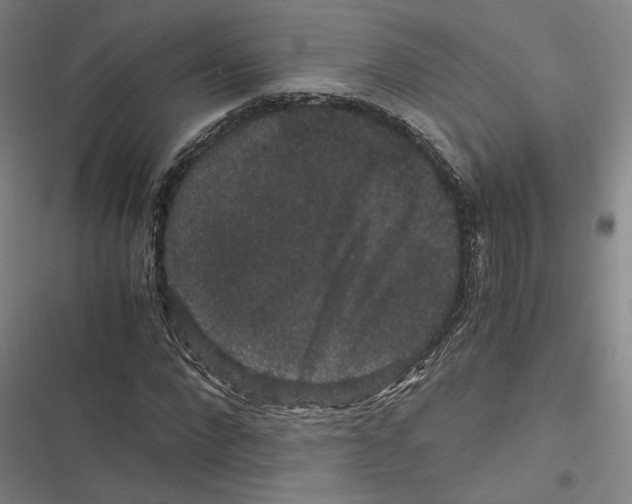 X0000116780872201001141509