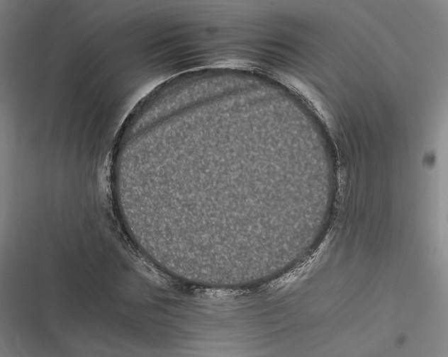 X0000116780875201001141509