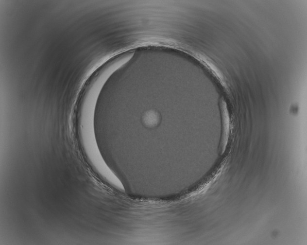 X0000116780877201001141509