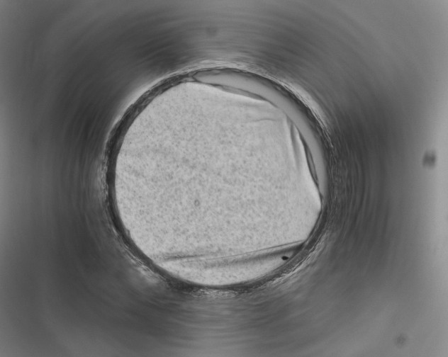 X0000116780878201001141509